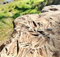 Terramungamine Rock Grooves - Accommodation Burleigh