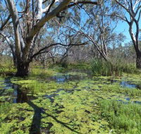 Macquarie Valley Trails - Accommodation Burleigh