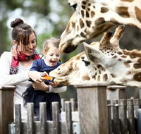 Taronga Western Plains Zoo Dubbo - Accommodation Burleigh