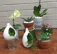 Cobram Florist - Accommodation Burleigh