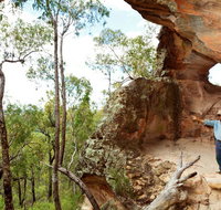 Pilliga National Park - Accommodation Burleigh