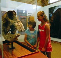 Australian Museum Diprotodon Exhibition - Accommodation Burleigh