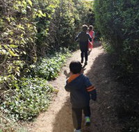 The Tangled Maze  Mistydowns Nursery - Accommodation Burleigh