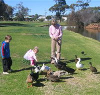 Roy Little Park Merredin - Accommodation Burleigh