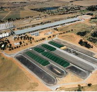 Co-operative Bulk Handling CBH Wheat Storage and Transfer Depot - Accommodation Burleigh
