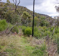 Lynchs loop trail - Accommodation Burleigh