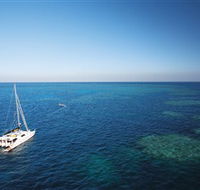 Bait Reef and Garys Lagoon Dive Site - Accommodation Burleigh