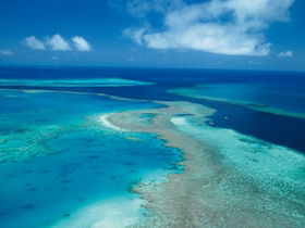 Fairey Reef - Accommodation Burleigh 2