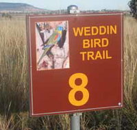 Weddin Bird Trails - Accommodation Burleigh