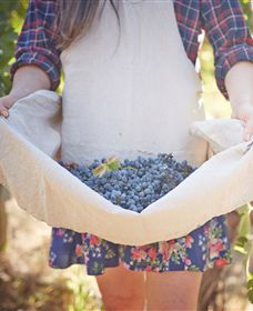 Lake Moodemere Estate - Accommodation Burleigh 1