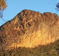 Kaputar scenic drive - Accommodation Burleigh