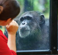 The Rockhampton Zoo - Accommodation Burleigh