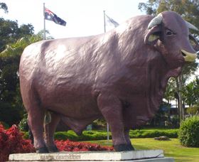 Rockhampton Bull Statues - Accommodation Burleigh 0