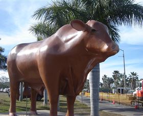 Rockhampton Bull Statues - Accommodation Burleigh 3