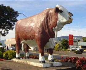 Rockhampton Bull Statues - Accommodation Burleigh 2
