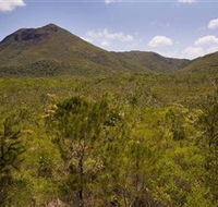 Kutini-Payamu Iron Range National Park CYPAL - Accommodation Burleigh