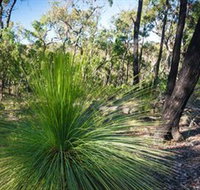 Brisbane Ranges National Park - Accommodation Burleigh