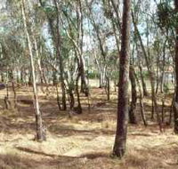 Chiltern-Mt Pilot National Park - Accommodation Burleigh