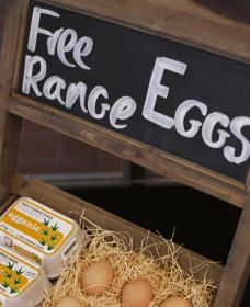 A Slice Of Orange - Accommodation Burleigh 1