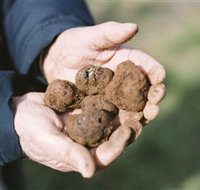A Slice of Orange - Accommodation Burleigh