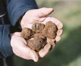 A Slice Of Orange - Accommodation Burleigh 0