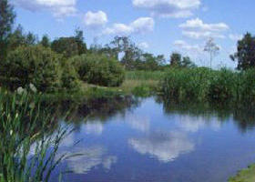 Yan Yean Reservoir Park - Accommodation Burleigh 0