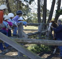 Harlow Park Horse Riding - Accommodation Burleigh