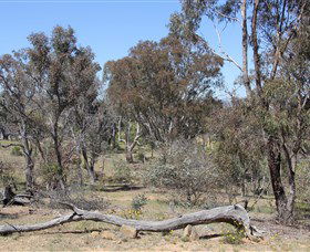Canberra ACT Accommodation Burleigh