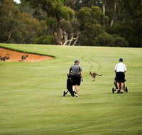 Federal Golf Club - Accommodation Burleigh