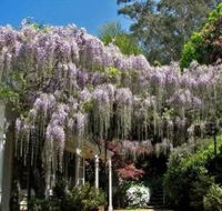Nooroo Gardens - Accommodation Burleigh
