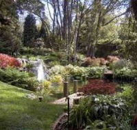 Windyridge Garden Mount Wilson - Accommodation Burleigh