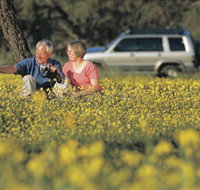Coalseam Conservation Park - Accommodation Burleigh