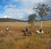 Chapman Valley Horse Riding - Accommodation Burleigh