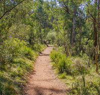 Mares Forest Creek walking track - Accommodation Burleigh