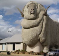 Big Merino - Accommodation Burleigh
