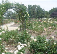 Victoria Park Rose Garden - Accommodation Burleigh