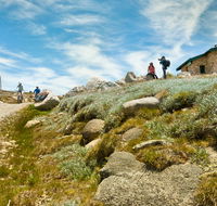 Mount Kosciuszko Summit walk - Accommodation Burleigh