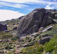 Mount Stillwell walk - Accommodation Burleigh