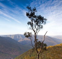 Salisbury Waters walking track - Accommodation Burleigh