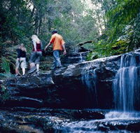 South Lawson Waterfall Circuit - Accommodation Burleigh