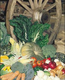 Mulgowie Real Farmers Markets - Accommodation Burleigh 0