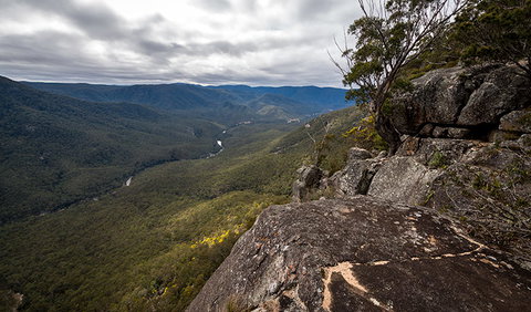 Mann River Nature Reserve - Accommodation Burleigh 2