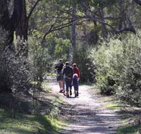 Syd's Rapids and Aboriginal Heritage Trail Avon Valley - Accommodation Burleigh