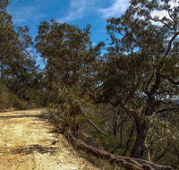 Parr State Conservation Area - Accommodation Burleigh