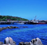 King Island Dairies - Accommodation Burleigh