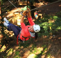 Trees Adventure Grose River Park - Accommodation Burleigh
