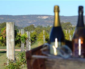 Ugly Duckling Wines - Accommodation Burleigh 1