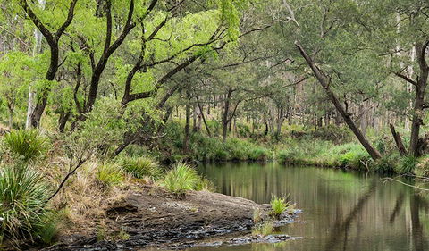 Koreelah National Park - Accommodation Burleigh 1