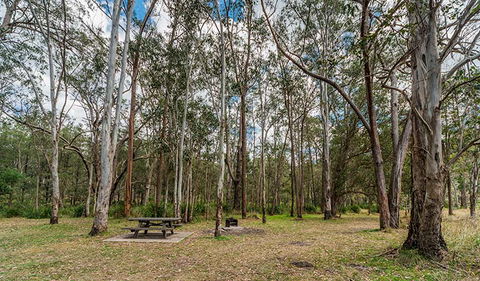 Koreelah National Park - Accommodation Burleigh 3