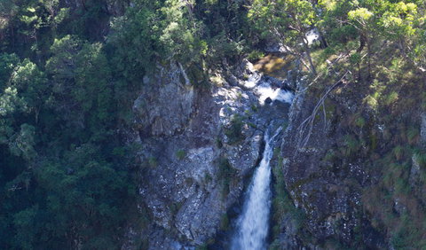 Lyrebird Falls Walking Track - Accommodation Burleigh 0